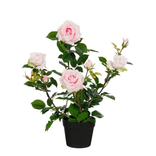 Mica Decorations Roos in pot - Kustplant - 45 x 35 x 62 cm - Roze