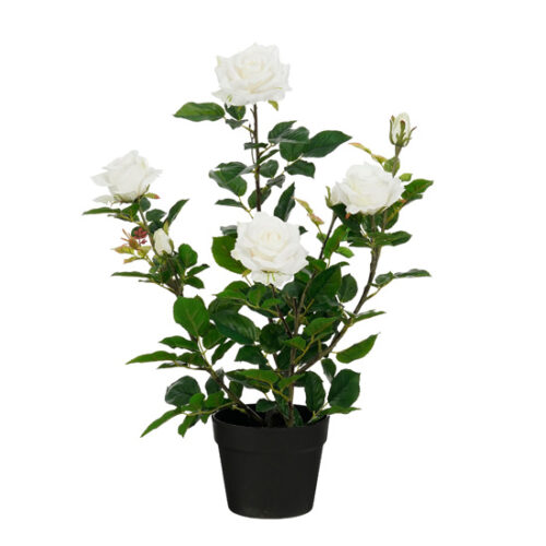 Mica Decorations - Roos in pot - Kunstplant - 45 x 35 x 62 cm - Creme